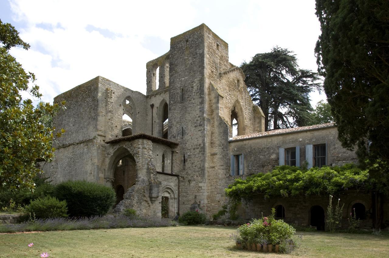 Abbaye De Villelongue Saint-Martin-le-Vieil Exterior foto